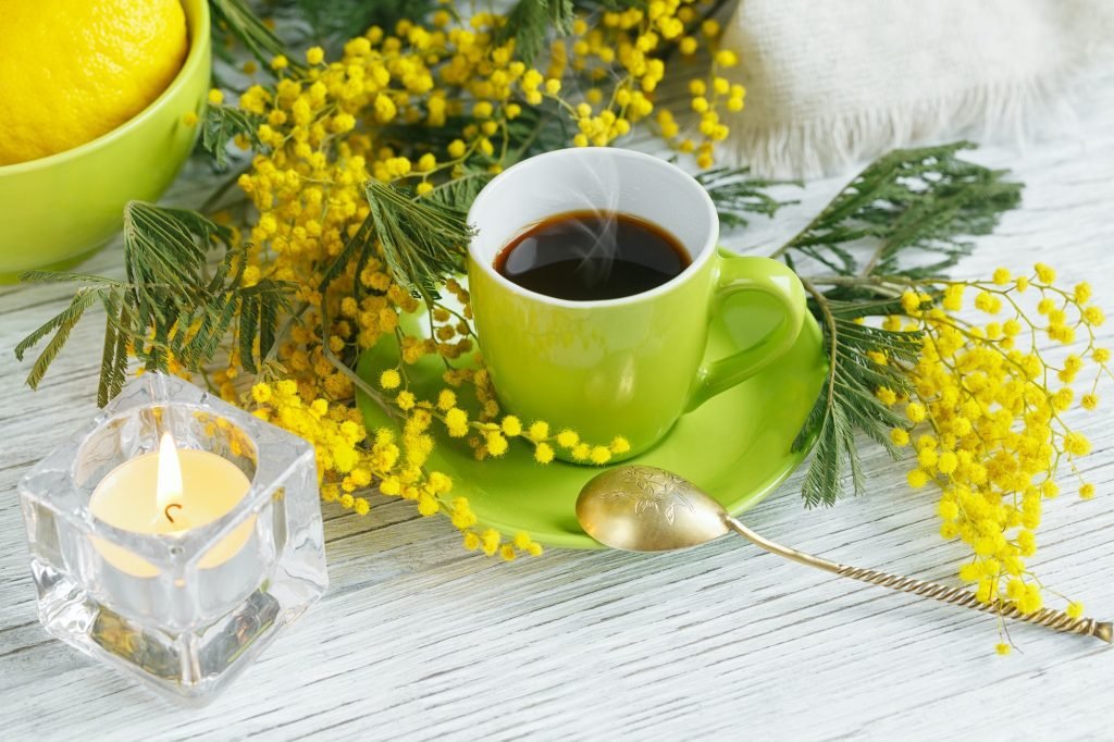 Mimosa flowers, Lemon and Coffee on White background