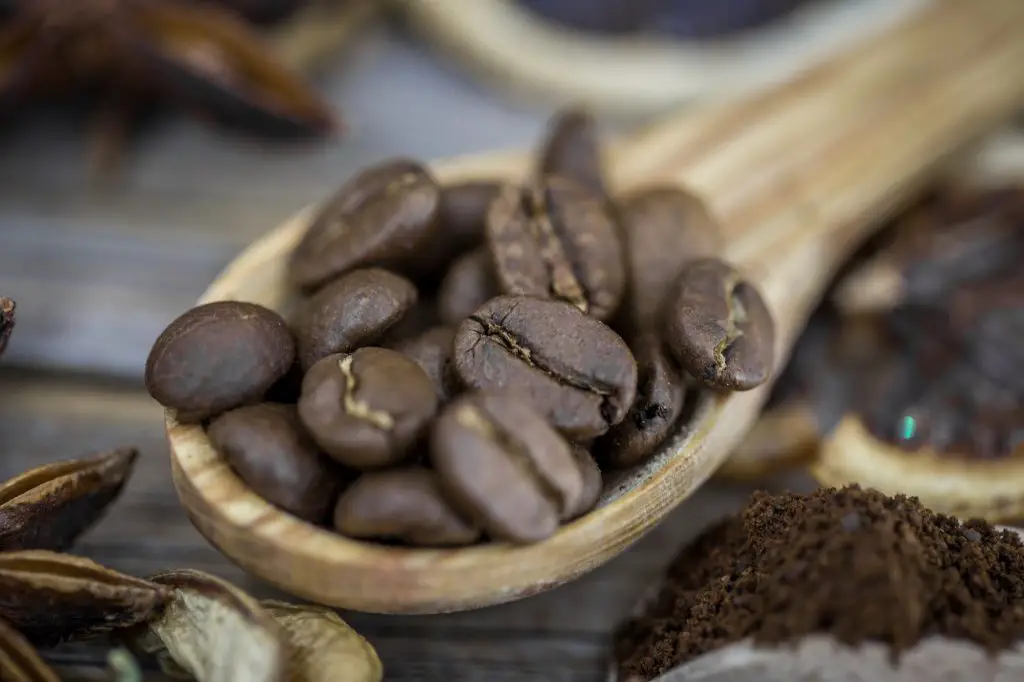 coffee beans on a wooden spoon