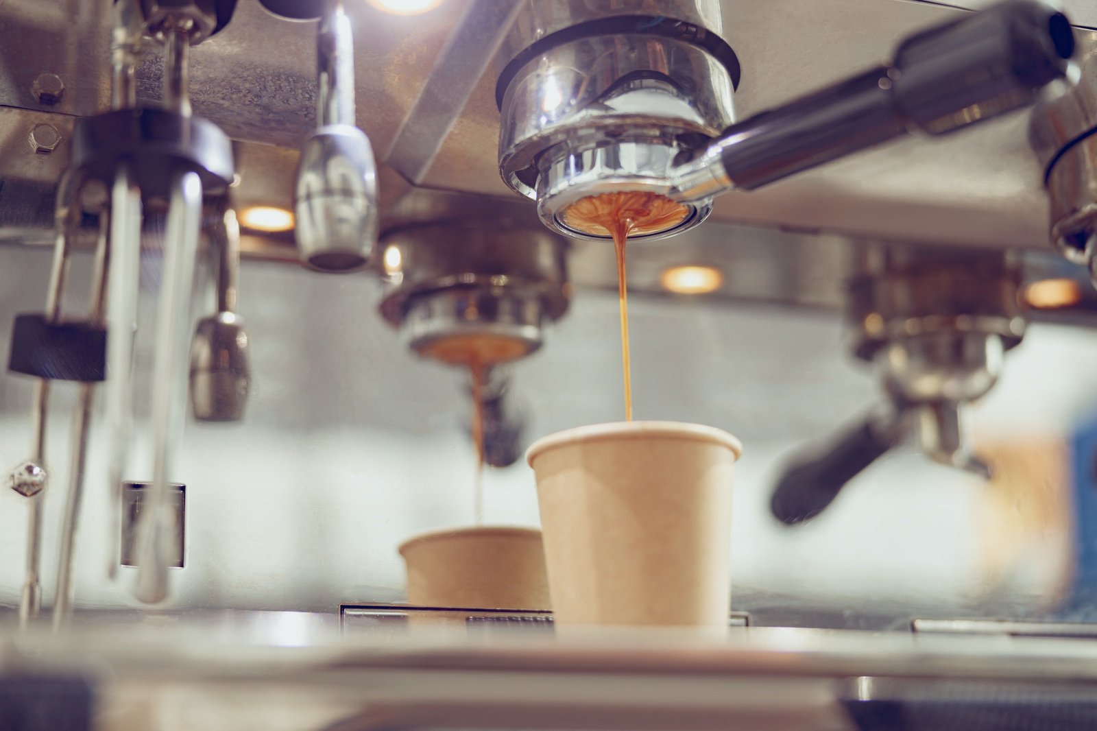 5 Best Plumbed Coffee Makers For Home Use BushyBeard Coffee