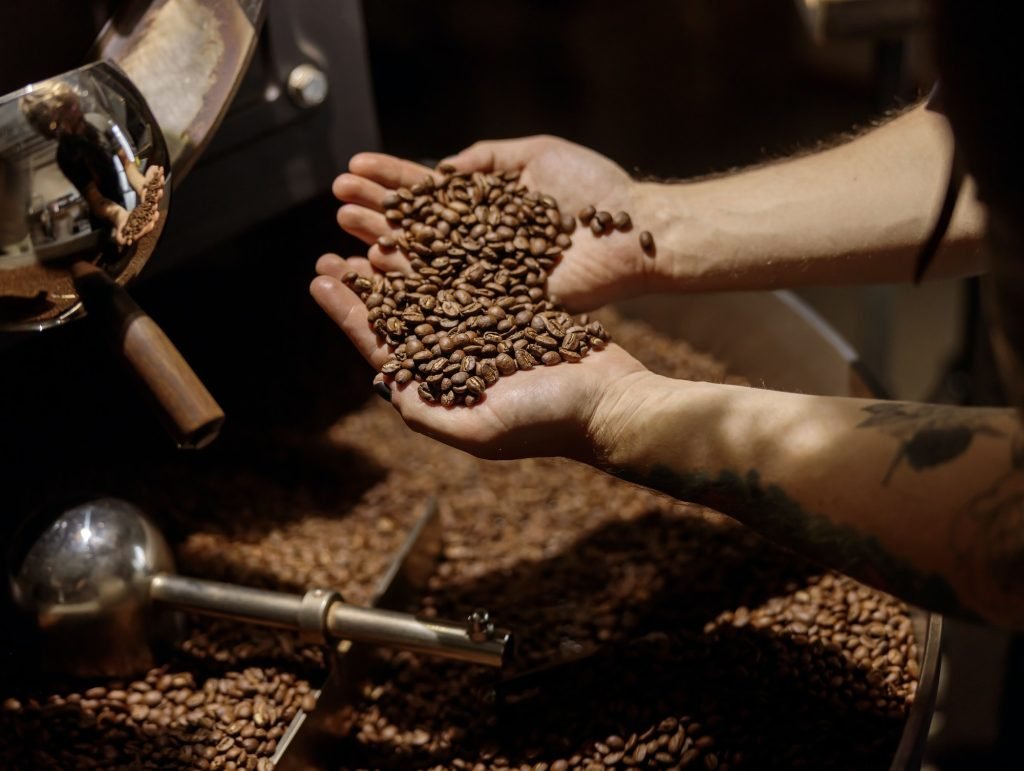 Male hands holding freshly roasted coffee beans